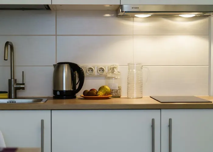 公寓 Airport Jurmala